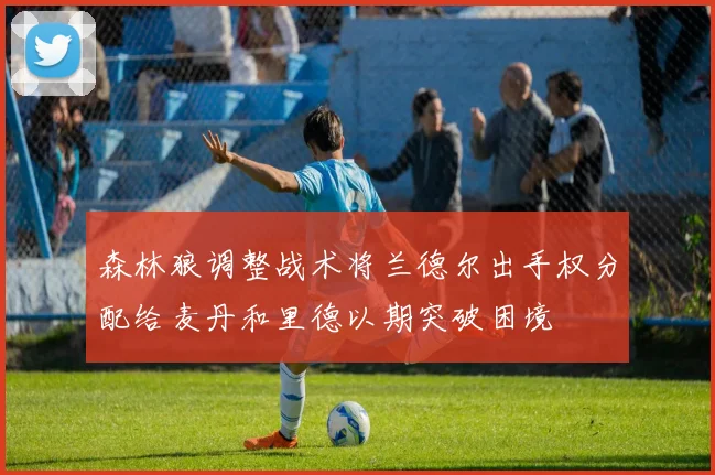 森林狼调整战术将兰德尔出手权分配给麦丹和里德以期突破困境
