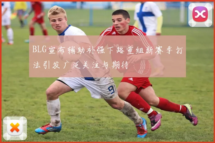 BLG宣布辅助补强下路重组新赛季打法引发广泛关注与期待