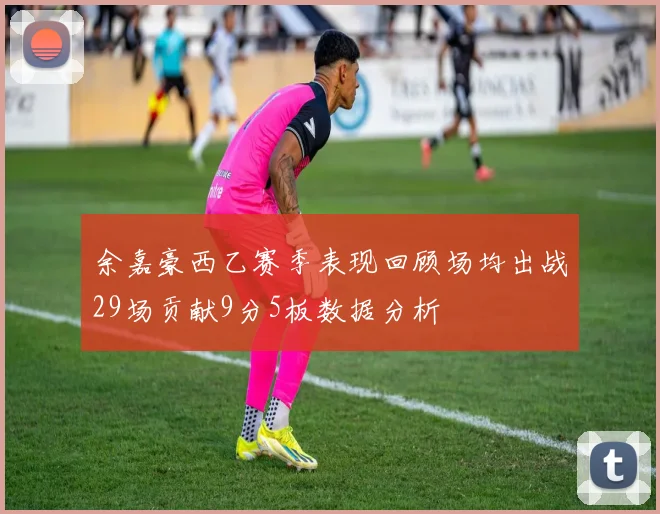 余嘉豪西乙赛季表现回顾场均出战29场贡献9分5板数据分析
