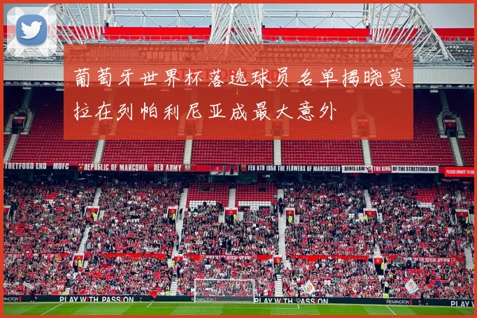 葡萄牙世界杯落选球员名单揭晓莫拉在列帕利尼亚成最大意外